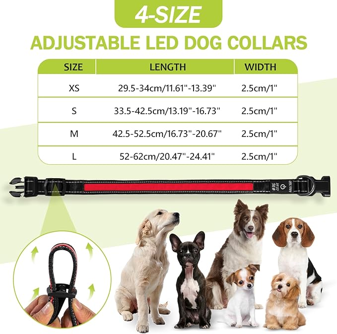 Lighted Dog Collar for Night Walking, Flashing Led Dog Collar, USB Rechargeable Glow Collars for Dogs, Adjustable Light Up Dog Collars (Red, Pack of 1, XS)