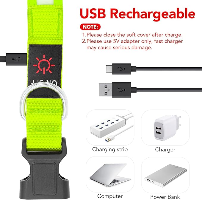 Vizpet LED Dog Collar, Light Up Dog Collar Adjustable USB Rechargeable Super Bright Safety Light Glowing Collars for Dogs(Large,Green)