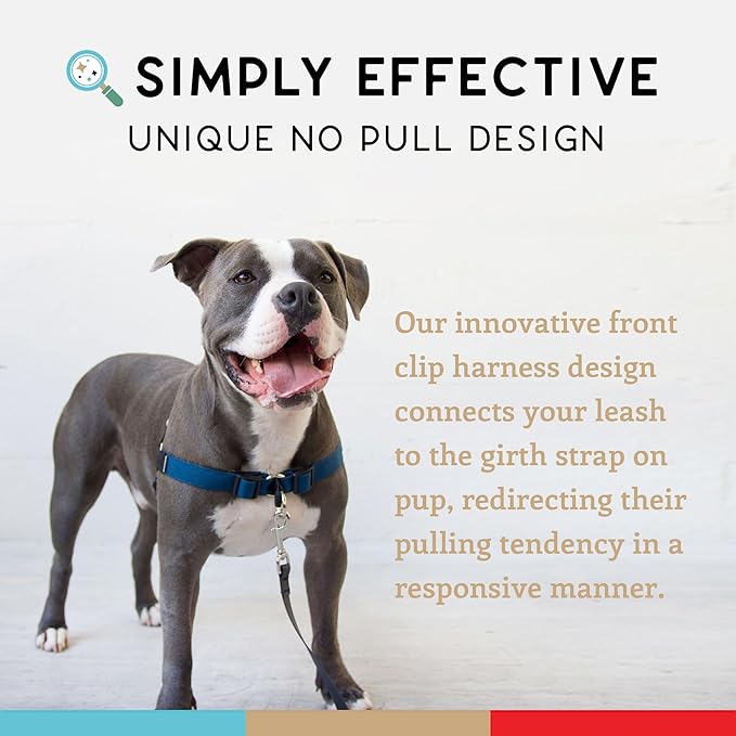 Wildebeest No Pull Dog Harness | Comfortable Training Harnesses | Effective No Pull Harness Design | Ideal for Small Dog and Puppy | 4-Point Adjustable (S - 18~24 inch Girth, Navy)