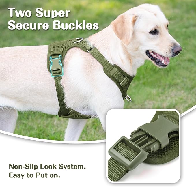 No Pull Dog Harness for Small Medium Large Dogs - Adjustable 2 Layer Mesh Dog Vest with Dual Clip, Escape Proof, Quick Release, Lightweight Breathable Mesh for Walking Hiking (Misty Green,XL)