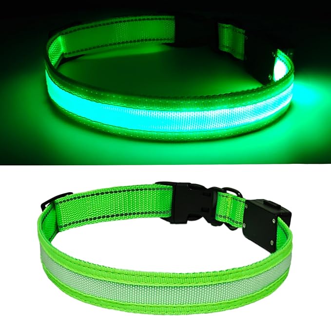 LED Dog Collar Light Up with 2025 Bright Beads & 300mAh Battery, Type-C Rechargeable Waterproof Dog Collar, 3 Flash Mode 15H for Night Safety, Adjustable Nylon Glow Collar for Small Medium Large Dogs