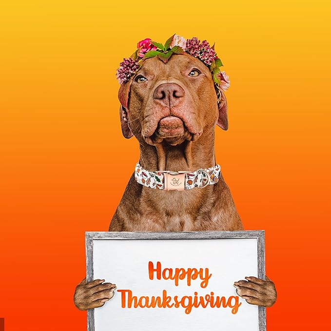 Elegant little tail Thanksgiving Dog Collar, Fall Turkey Print Pet Collar Durable Dog Collars Male or Female Holiday Pet Gift Adjustable Dog Collar for Small Dogs