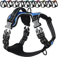 VIVAGLORY Dog Harness Easewalk No Pull Dog Harness with Handle Front Clip & Back Clip for Training Walking Lifting, No Pull Adjustable Easy On Padded Comfortable for Pet, M, Royal Blue - Plain