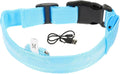 Light up Dog Collar Rechargeable Blue LED Pet Glowing Collar Adjustable Small Size for Puppy and Cat