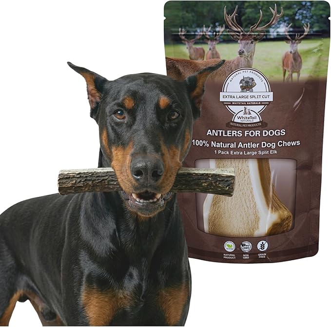 WhiteTail Naturals - Premium Split Elk Antlers for Large Dogs - (Extra Large-1Pack) - Elk Horn Dog Chews - Naturally Shed, Antler Chew Bone - Long Lasting, Crafted in USA