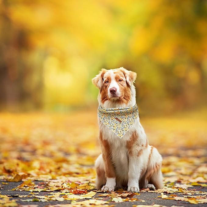 Elegant Little Tail Fall Bandana, 1PC Girl Boy Dog Bandanas Halloween Bib Scarf Soft Washable Square Dog Scarf Adjustable Kerchief for Small Medium Large Dogs