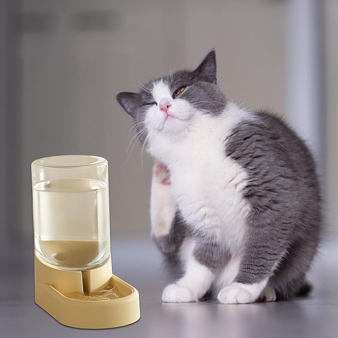 Clear Feeder and Water Dispenser Set for Home and Office Use Antislip Food Container Feeding Station for Cats Dog Automatic Feeder