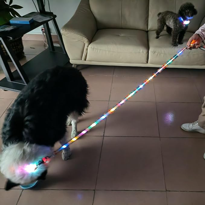 Light Up Dog Collar+LED Dog Leash,Rechargeable Waterproof LED Dog Collar Set,1.5m,3 Lighting Modes for Medium Large Dogs Walking at Night(1.5m Leash+10-25in Collar Can be Crop)