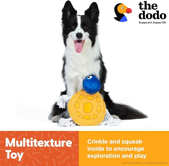The Dodo Turtle Multitexture Toy with Ropes, Squeakers, and Crinkle; Stuffingless Toy for Dogs; No Stuffing Dog Toys with Crinkle Sound and Squeaker; Turtle Toy for Dogs in Flat Style Plush