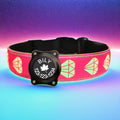 Personalized Dog Collar Waterproof airtag Dog tag Holder,USB C Light up Night Black Dog Collar (Pink, M(11.8-15.7"))