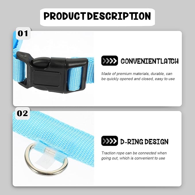 Light up Dog Collar Rechargeable Blue LED Pet Collar Adjustable Small Size Night Safety Glowing Neck Decor for Dogs