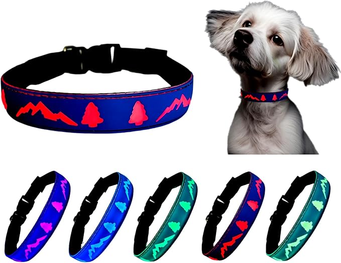 LED Dog Collar, 15 Light Modes, USB-C Rechargeable, Silicone Material, Adjustable Size, (Blue, L(15.7-19.7"))