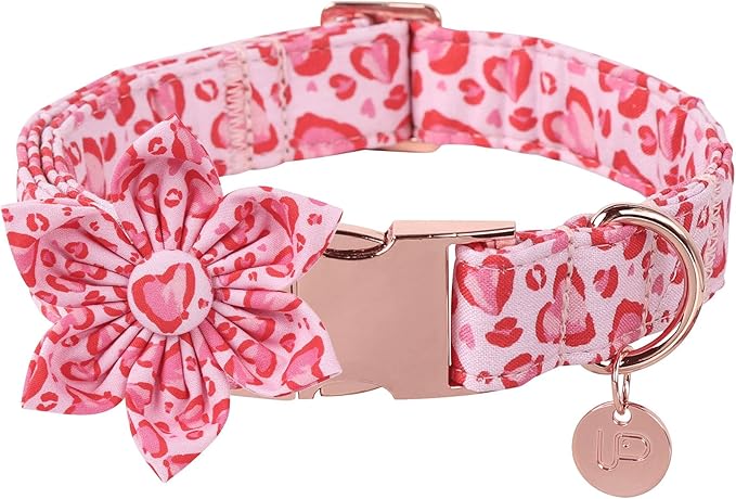 Valentine Dog Collar with Flower, Heart Flower Collar for Puppy Girl Boy Dog or Cat, Comfortable Dog Collar Flower with Durable Metal Buckle, Cute Pet Collar, M, Neck 13.5-22in