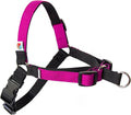 Wildebeest No Pull Dog Harness | Comfortable Training Harnesses | Effective No Pull Harness Design | Ideal for Medium Sized Dog | 4-Point Adjustable(M - 22~28 inch Girth, Fuchsia)