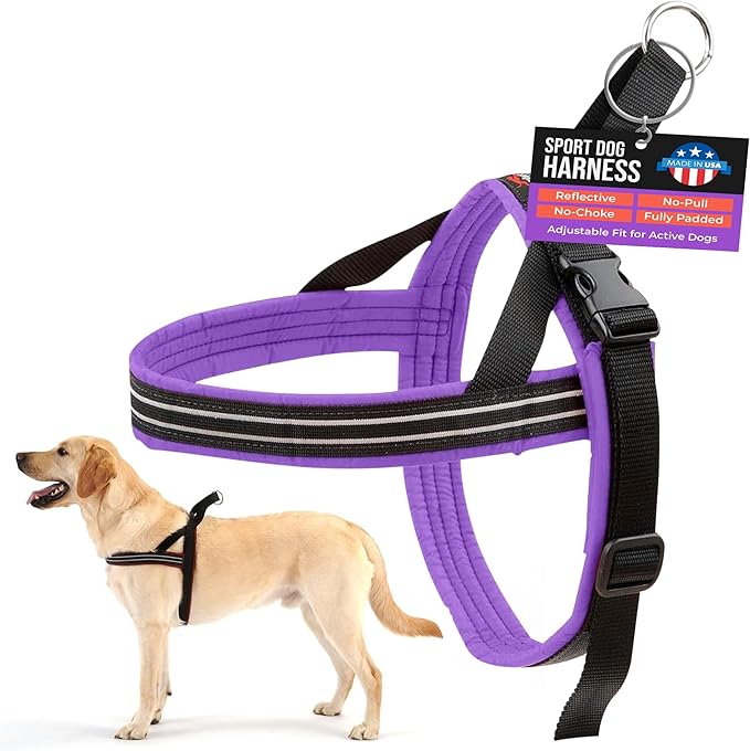 ComfortFlex Sport Dog Harness – No-Choke, Fully Padded, Non-Chafing Harness with Control Handle – Reflective, Lightweight, Adjustable for Active Dogs - Medium/Large, Purple