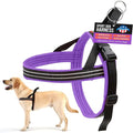 ComfortFlex Sport Dog Harness – No-Choke, Fully Padded, Non-Chafing Harness with Control Handle – Reflective, Lightweight, Adjustable for Active Dogs - Medium/Large, Purple