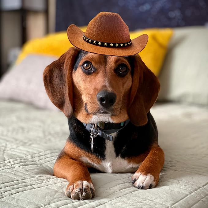 Dog and Cat Cowboy Hat with Bandana Scarf - Mini Pet Costume for Halloween, Holiday, Party Decoration (Brown, Large)