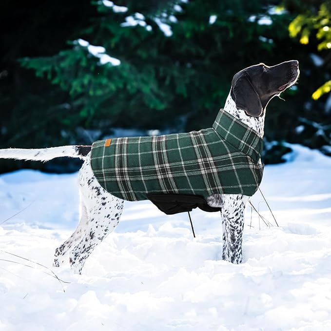 Kuoser Warm Dog Coat, Waterproof Dog Coats for X-Small Dogs, Adjustable Durable Doggie Winter Jacket Reversible Cozy Puppy Cold Weather Apparel from Small to Large Breed, Green XS