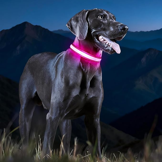 LED Dog Collar USB Rechargeable - Light Up Dog Collar Safety Pet Collars with Lights for Night Walking, Camping (Pink, L)