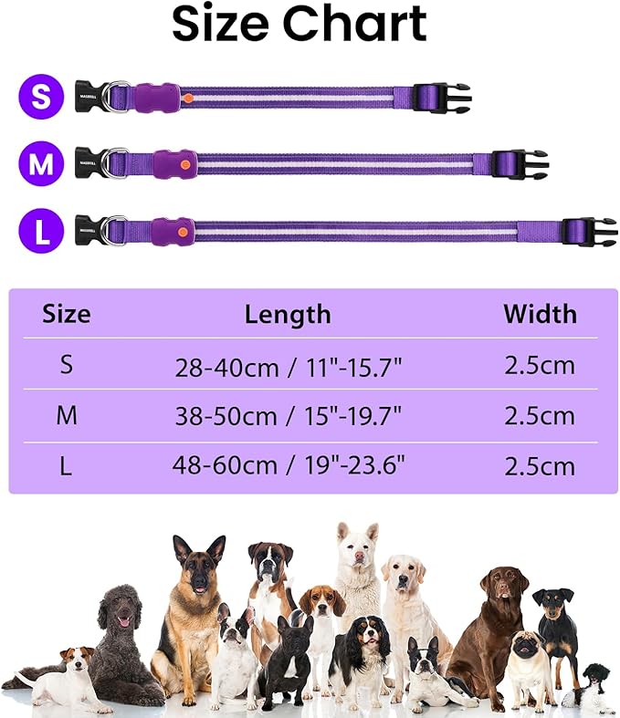 MASBRILL Light Up Dog Collar - RGB LED, Rechargeable, Water-Resistant Glow Up Night Walking Collar for Small to Large Dogs