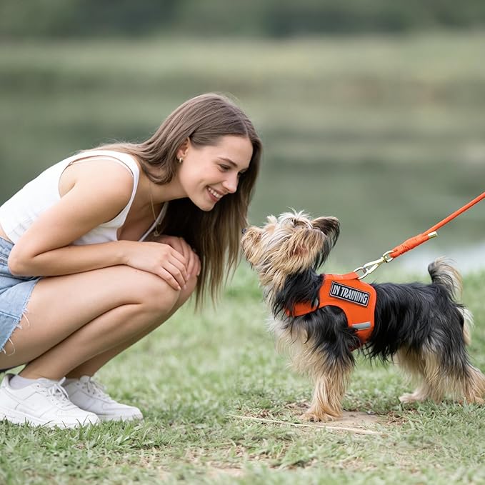 Durable Handwoven Dog Leash for Small & Medium Dogs, 5/16 inch Rope Lead with Anti-Tangle Swivel Clip, Soft & Lightweight, 5FT Long – Ideal for Daily Walking & Training (Orange)