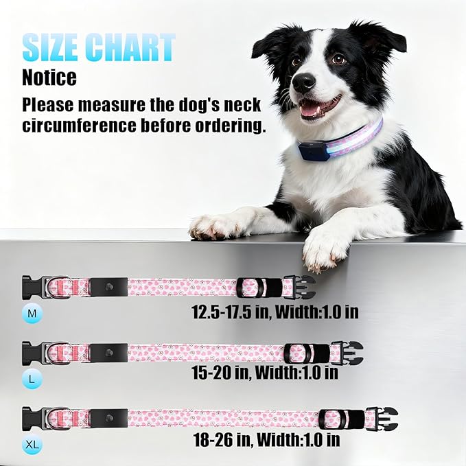 LED Dog Collar - Brightest Light Up Dog Collars - 1,600 Feet of High Visibility - Magnetic Charging - Dog Lights for Night Walking, Heart Medium