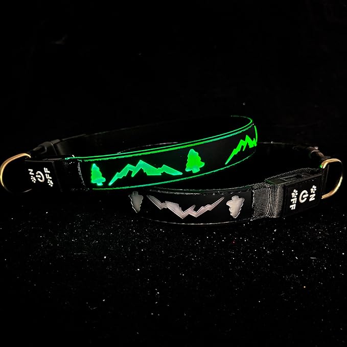 LED Dog Collar, 15 Light Modes, USB-C Rechargeable, Silicone Material, Adjustable Size, (Black, L(15.7-19.7"))