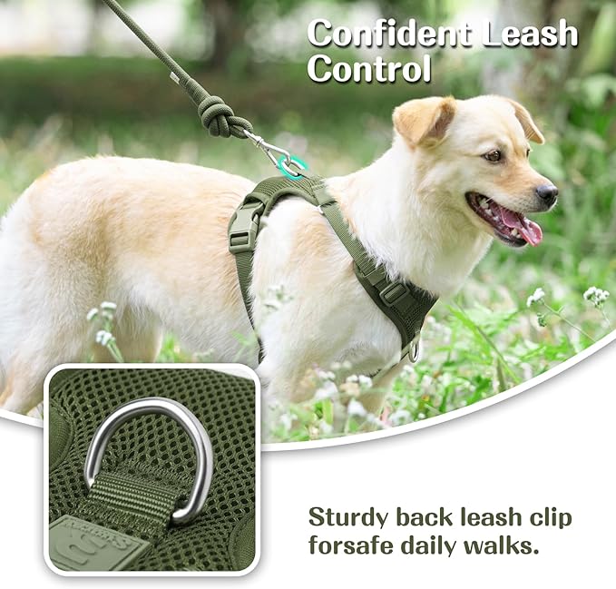 No Pull Dog Harness for Small Medium Large Dogs - Adjustable 2 Layer Mesh Dog Vest with Dual Clip, Escape Proof, Quick Release, Lightweight Breathable Mesh for Walking Hiking (Misty Green,M)