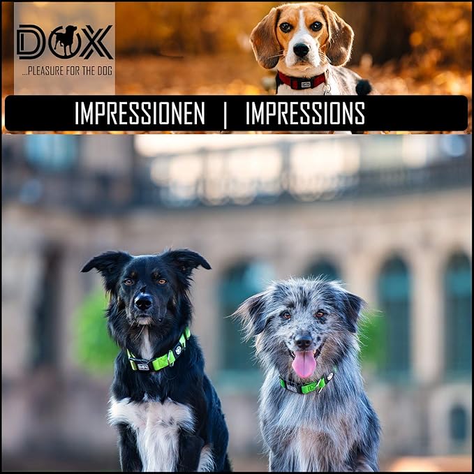 DDOXX Dog Collar Air Mesh, Adjustable, Padded | Many Colors & Sizes | for Small, Medium & Large Dogs | Collars cat Puppy pet Kitten | Yellow, XS