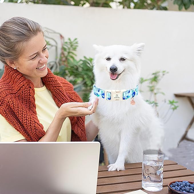 Lionheart glory Dog Collar Blueberries Print Collar for Large Dogs Spring Summer Female or Male Collars Pets Gift Adjustable Heavy-Duty Cute Pet Collars
