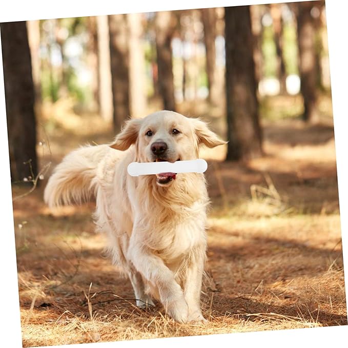 UPKOCH Dog Scent Training Tool Kit Scent Work Supplies for Dogs Nosework Training Aids