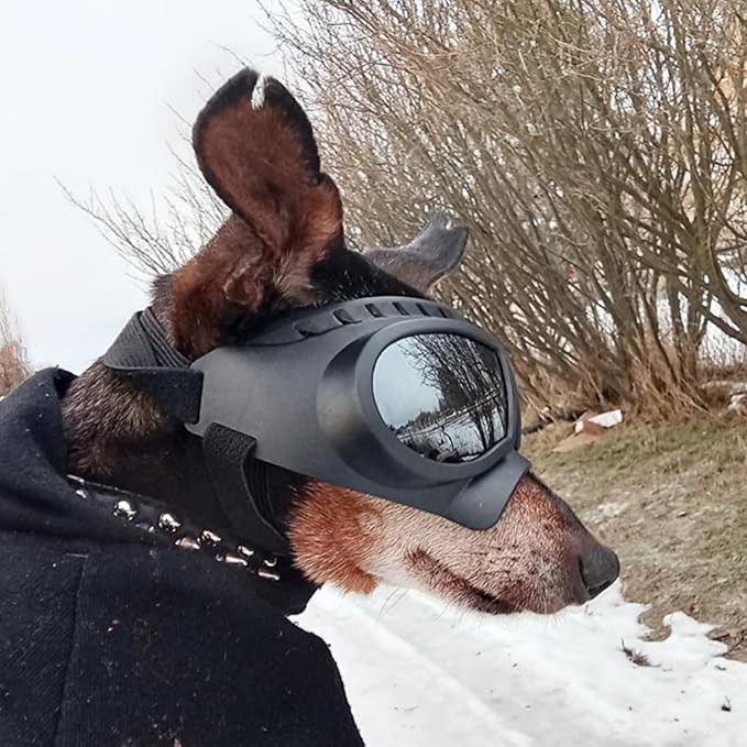 Namsan Dog Goggles Small Breed, Wide Snout & Soft Frame, Tactical Driving Sunglasses for Dogs Small to Medium Breed, Anti-UV Dog Eye Protection, Windproof Dustproof, Adjustable, Silver Lens