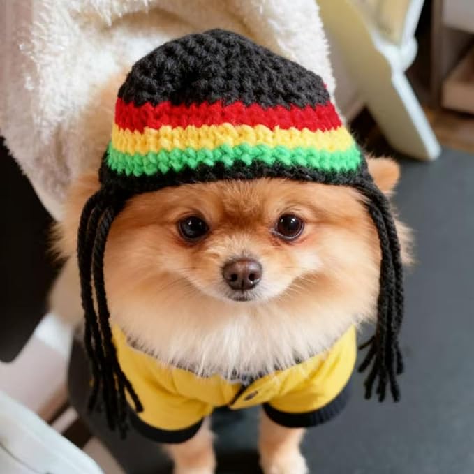 Puppy Knitted Hat & Wig | Winter Dog Bonnet，Keep Your Small Dog Warm and Stylish in This Soft, Knitted Winter hat with Attached Dreadlocks. Perfect for Christmas, and Holiday photoshoots