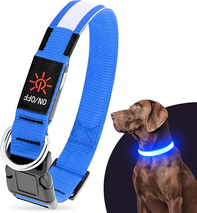 Illumifun LED Collar for Dogs, USB Rechargeable Light Up Dog Collars Glow in The Dark (Blue, Small)