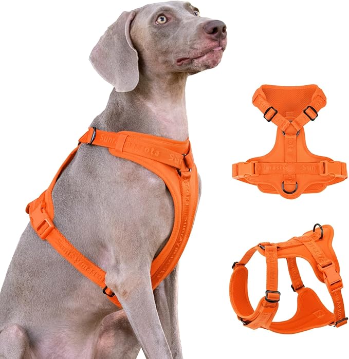 No Pull Dog Harness with Lycra, Three-Point Force Dispersion & 3D Padding, Adjustable Breathable Mesh for Small Medium Large Dogs(Orange,L)