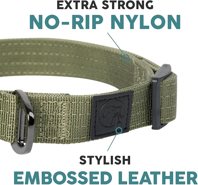 Embark Adventure Pro Dog Collar – Heavy Duty Tactical Dog Collar Stylish & Durable Nylon Dog Collar for Large Dogs, Small Dogs & Medium Dogs. Strong Buckles for Any Size Breed (Small, Green)
