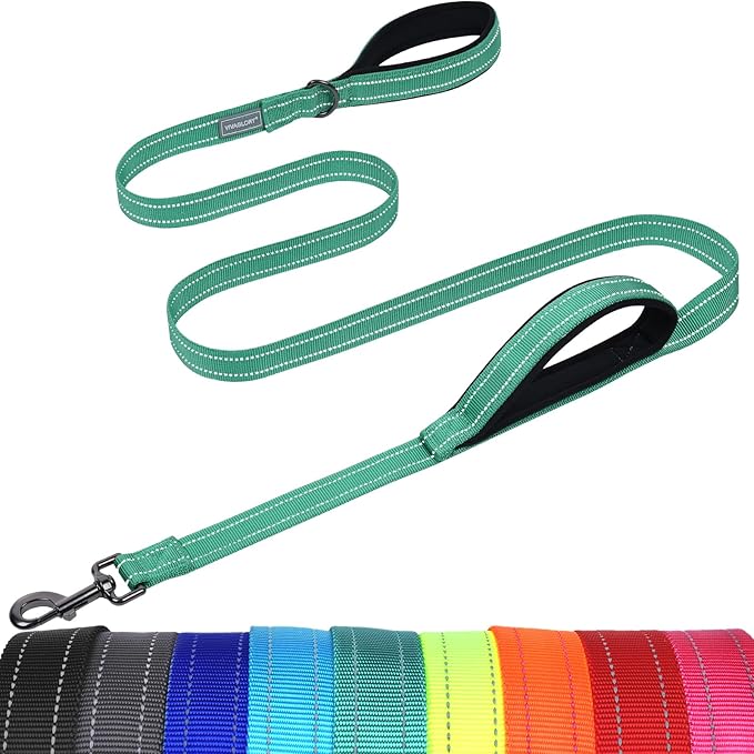 VIVAGLORY Twingrip Dog Leash, Double Handle Dog Leash for Training & Walking with Traffic Handle & 2 Loop, Traffic Control Reflective Heavy Duty for Puppy Pet, 6ft x 1in, Turquoise