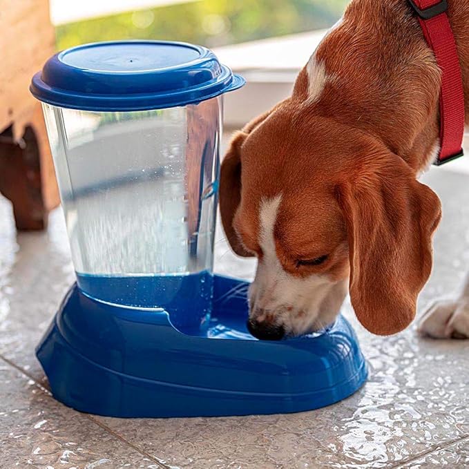 Ferplast Water dispenser for dogs and cats NADIR Drinker 3 Liter for small and medium sized dogs, Transparent tank with lid, Sturdy plastic, Non-slip bottom, 29,2 x 20,2 x h 28,8 cm White
