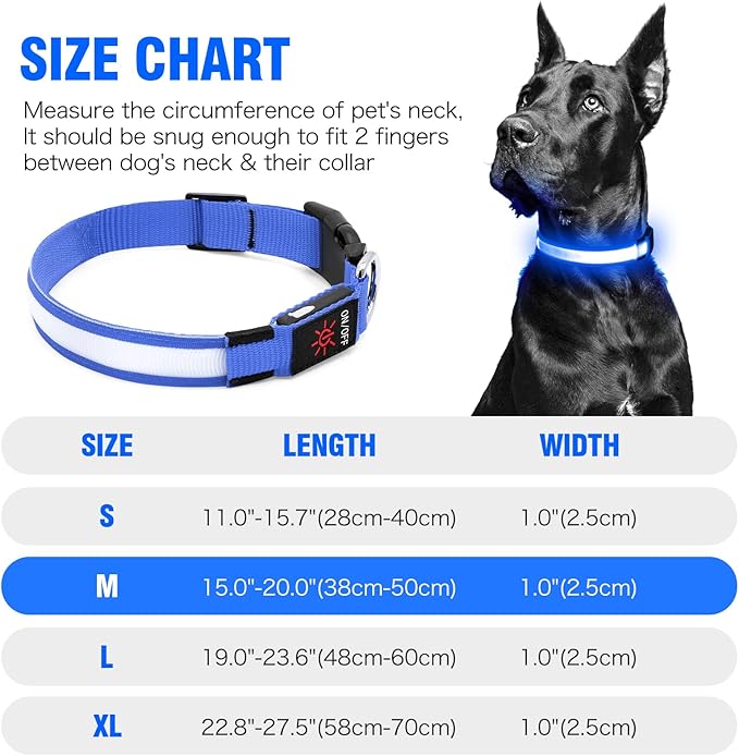 Illumifun LED Dog Collar, Fashion Rechargeable Dog Collar Glow in The Dark, Water-Resistant Safety Pet Collar for Your Dogs Walking at Night (Blue, Medium)
