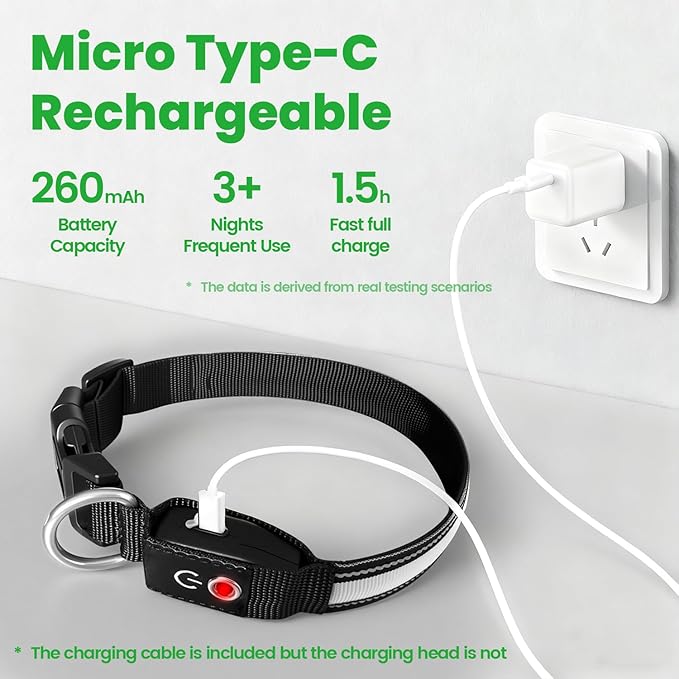 Auto Light Up Dog Collar - Smart Safety Night Collar with Motion Sensor - Auto-On in Dark - USB-C Rechargeable - 3 Day Runtime- IP65 Waterproof - M