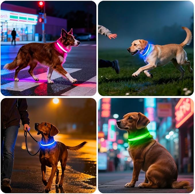 LED Dog Collar, Light Up Dog Collar Adjustable USB Rechargeable High Visibility Dog Light Glowing Pet Collars for Small Medium Large Dogs (Green, M)