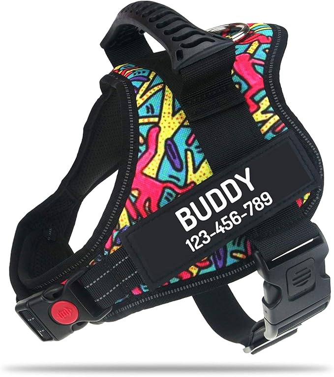 Personalized No Pull Dog Harness with Custom Name and Phone Number by PawPawify, Heavy Duty Pet Vest to Prevent Tugging, Pulling, or Choking, Training and Walking Color Doodle