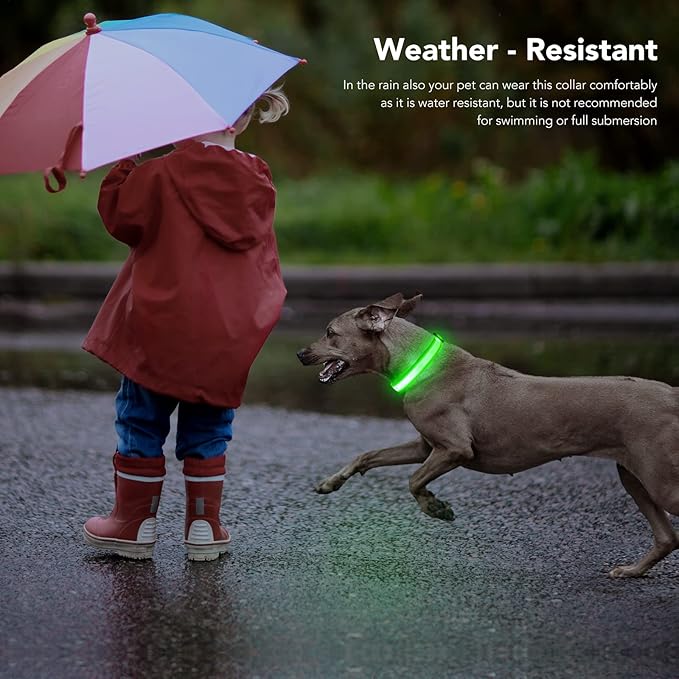 Light Up Dog Collars, LED Dog Collar Rechargeable Waterproof, Full Adjustable Lighted Collar, Glow Dark Dog Collar Light for Night Walking for Small Medium Dogs (Green)