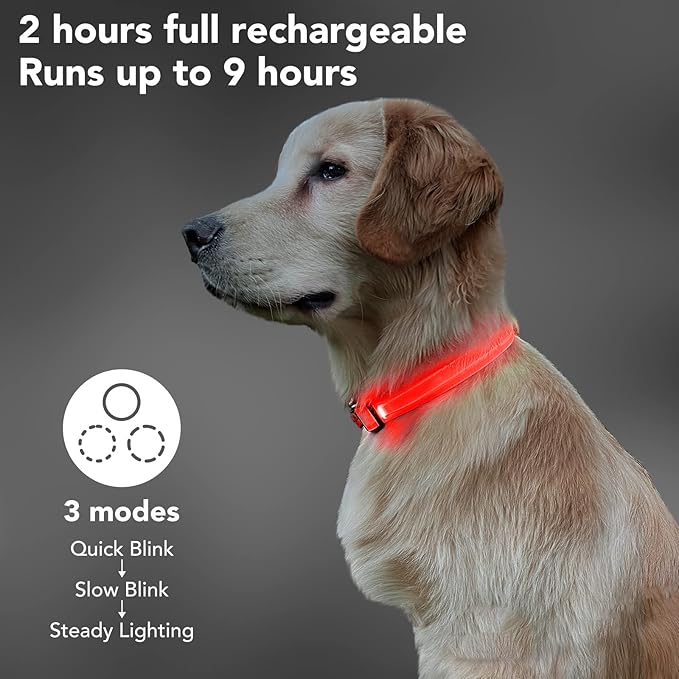 LED Light Up Dog Collars Micro USB Rechargeable Waterproof, Full Adjustable Lighted Glow Dark Dog Collar Light for Night Walking for Small Medium Large Dogs, Red