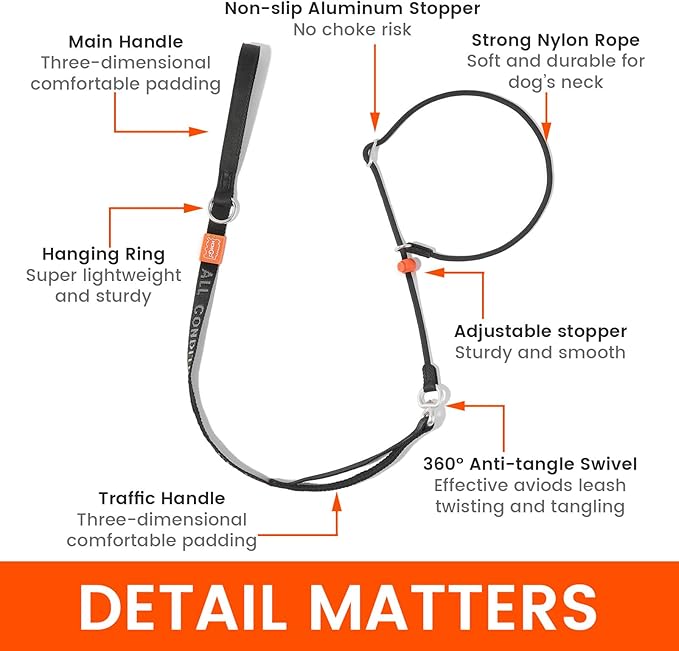 Slip Lead Dog Leash with Double Handles | Reflective Dog Training Lead with 360° Swivel Anti-Tangle | Heavy-Duty Leash and Collar for Large Medium and Small Dogs No-Pull Walking (Orange, 5.5FT)