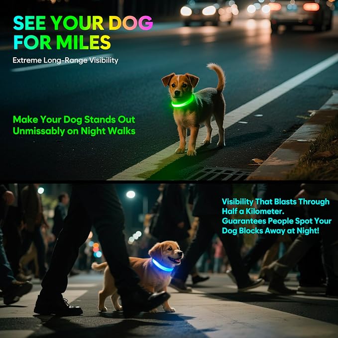 Light up Dog Collar - Multi-Color LED Dog Collar, USB-C Rechargable, Flashing Collar for Cats, Puppy Dogs and Small Breeds,Waterproof and Adjustable Rainbow Collar for Dogs(XSmall)