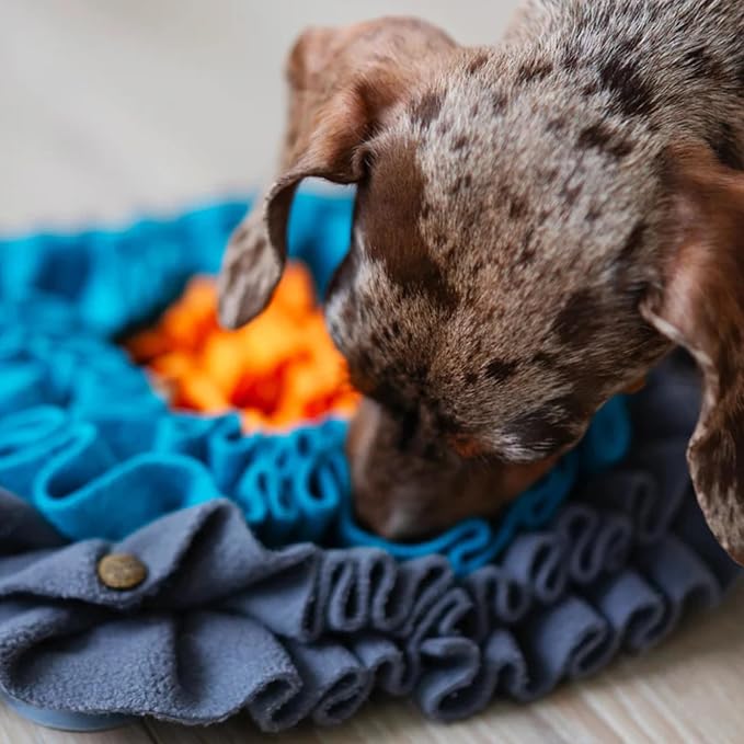 Messy Mutts Square Forage Mat with Suction Cups on Back for Stability | 11” x 11” Snuffle Mat Puzzle for Dogs | Stimulating Sniffing Interactive Puzzle for Dogs