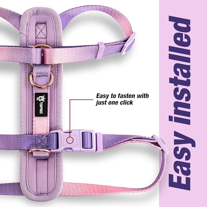 TSPRO Lightweight Dog Vest Harness Adjustable Harness Breathable Durable Quick Release Dog Harness for Medium Dog Walking (Orange-Yellow Gradient, Size 2)