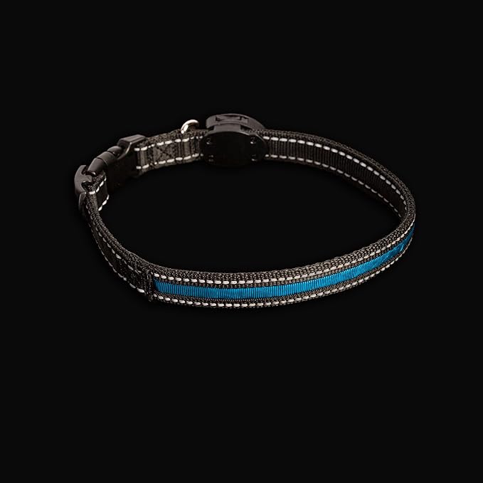 Sherry Kline LED Light-Up Pet Collar - USB Rechargeable - Flashing Glow in The Dark Size Large, Color: Blue