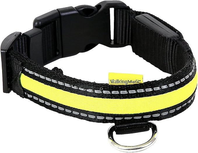 walkingMate Soft Nylon LED Collar, 25 mm x 36-51 cm, Green